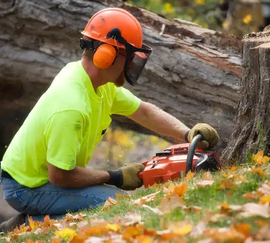 tree services Fairfield